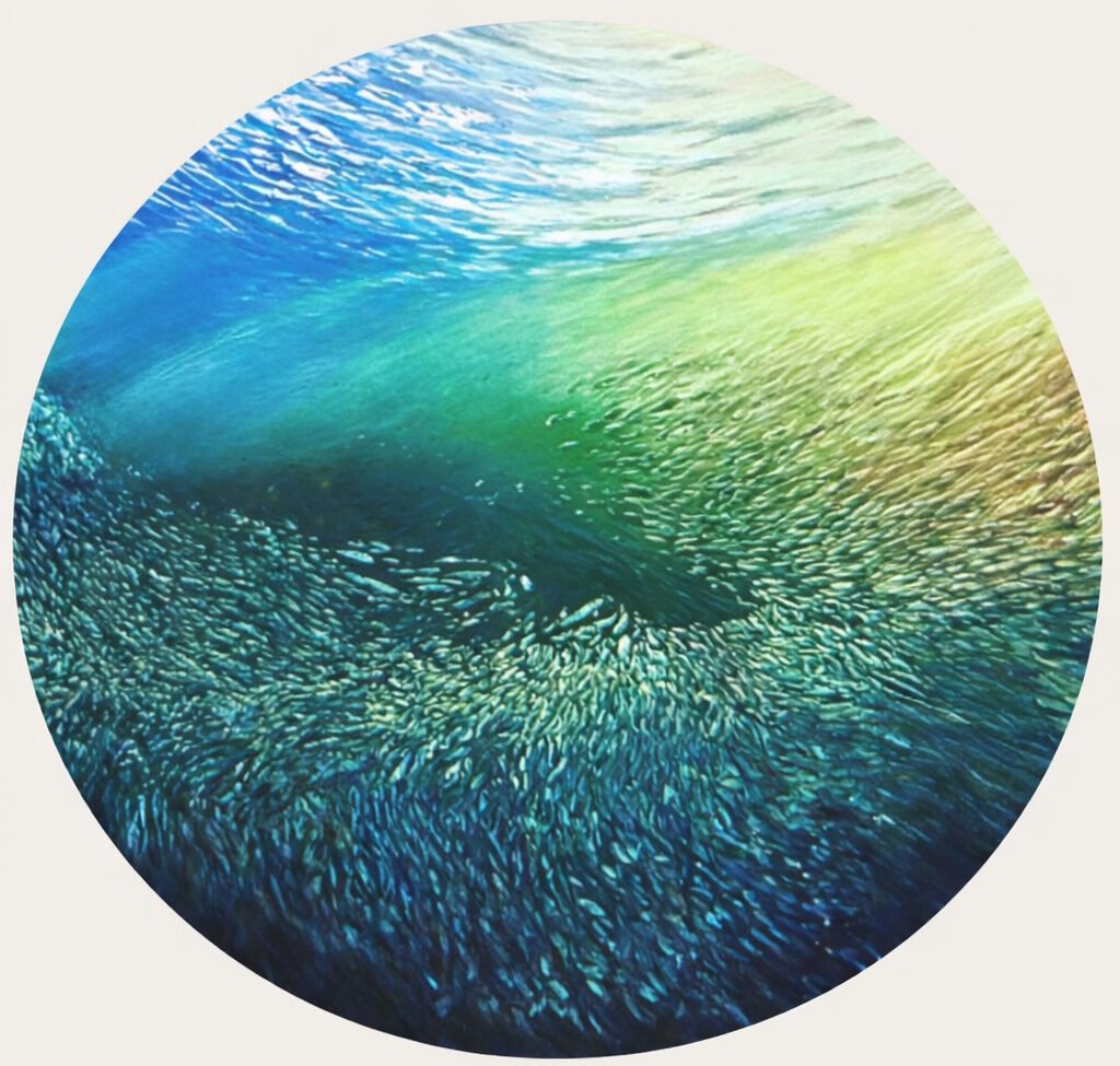 fond-expo-reves-auqtiques